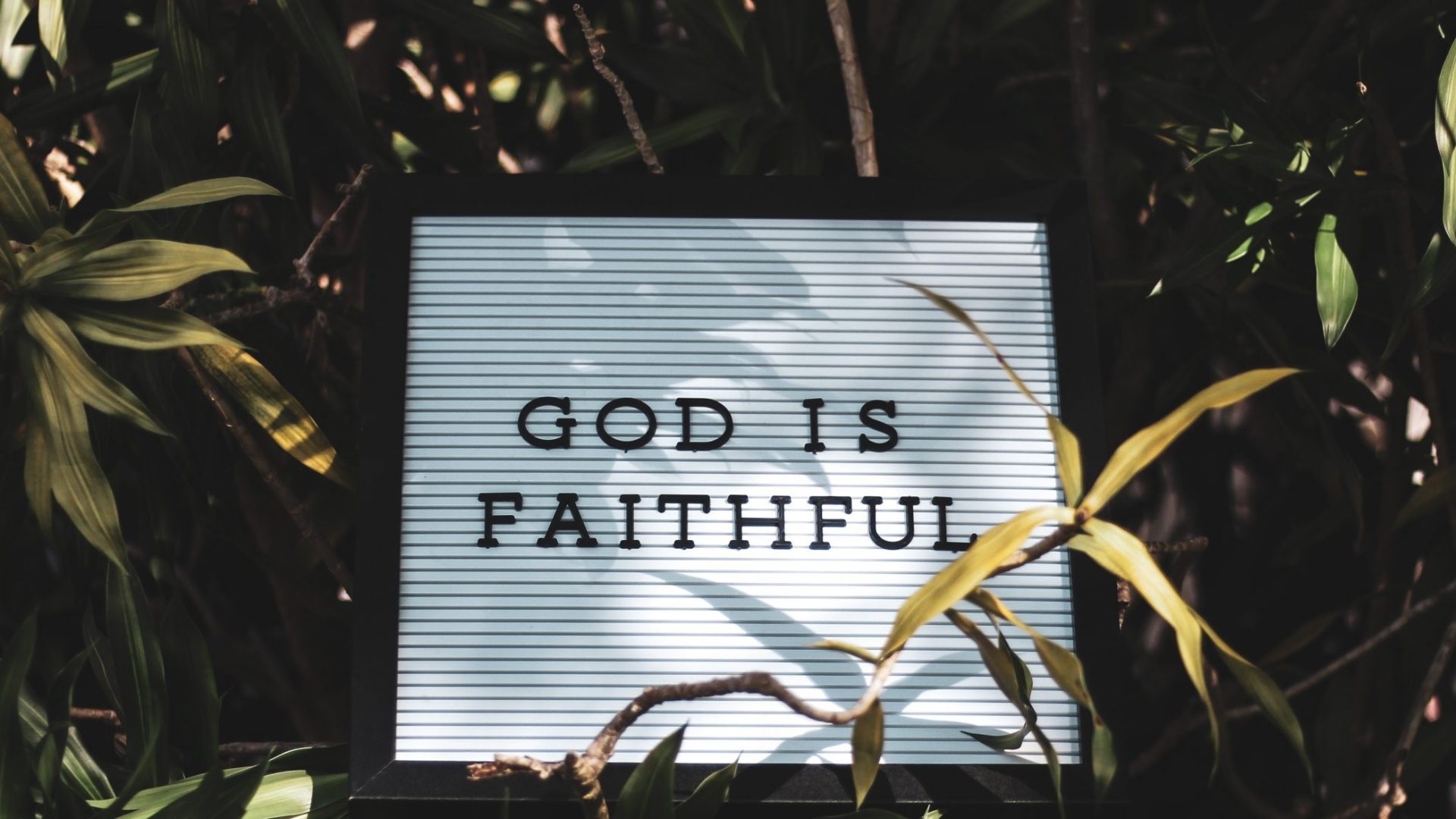 tony-eight-media-iy34kwDyJ4E-unsplash tony-eight-media-iy34kwDyJ4E-unsplash